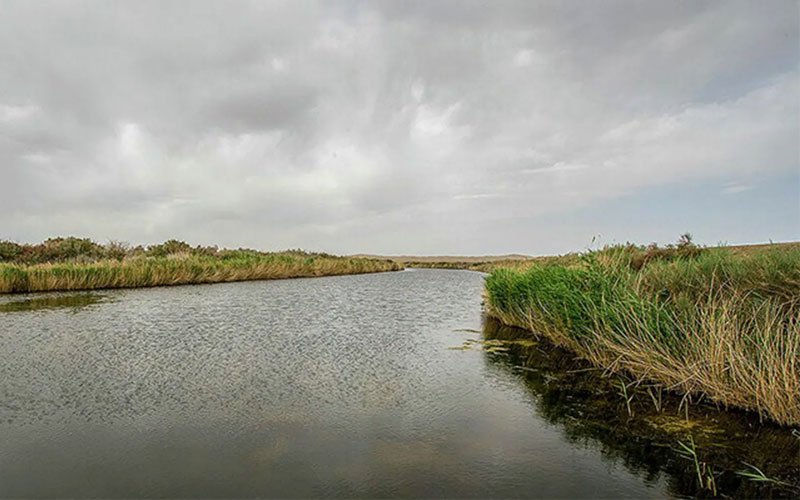 تالاب گاوخونی کجاست؟